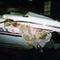Boat Fiberglass Damage