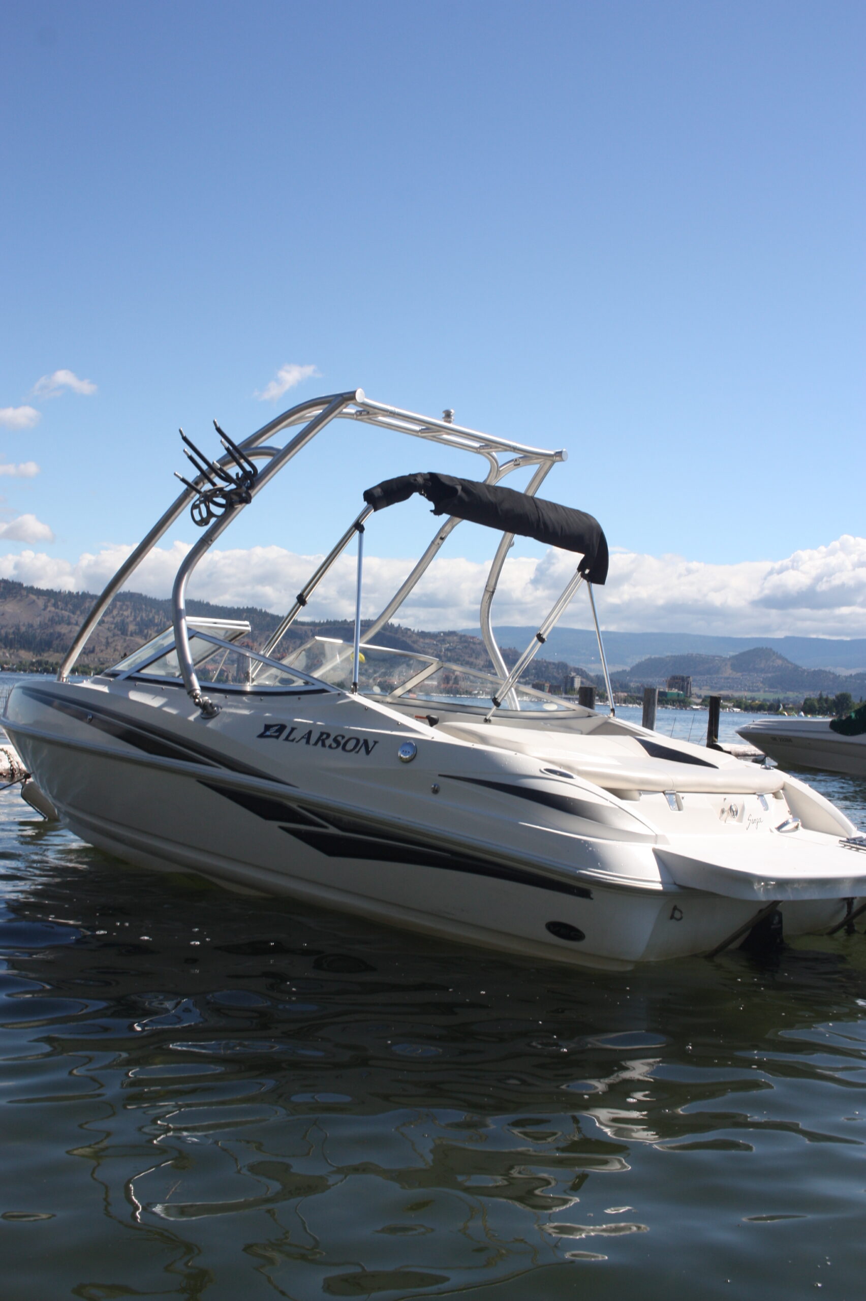 19 foot larson boat